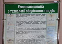 "Свято врожаю" в Умані